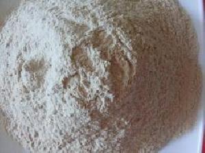 Chitosan Powder