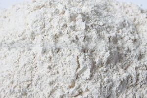 Dehydrated White Onion Powder