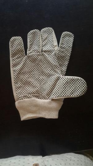 Chrome Canvas Gloves