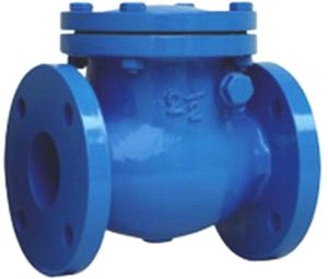 Cast Iron Swing Check Valve