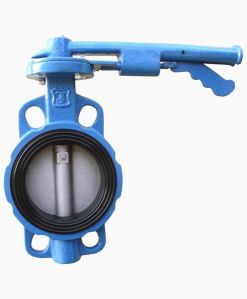 Dms Cast Iron Butterfly Valve