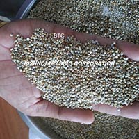 Millet for Human consumption