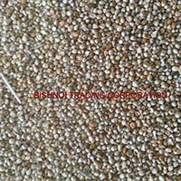Millet for Animal Feed