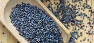 Blue Poppy Seed