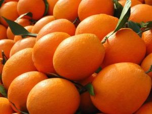 fresh oranges