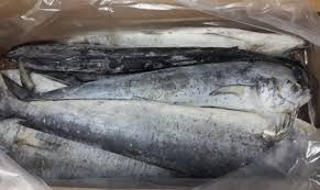 Frozen Mahi Mahi Fish