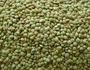 Food Grains & Cereals