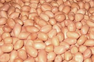 Java Peanut Kernels