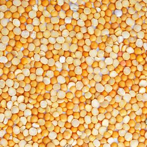 Yellow Split Peas