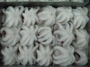 Frozen Baby Octopus
