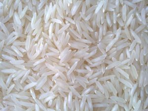 basmati rice,  Cultivation Type :Common