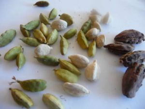 Green/White Cardamon