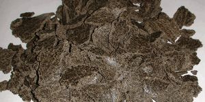 Quality Sunflower Cake Meal/Pellets For Animal Feeds