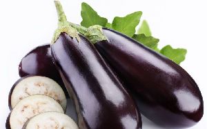 fresh brinjal