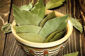 bay leaf,  Shelf Life : 12 Months