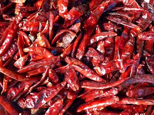 dry red chilies