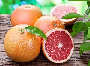 Natural Grapefruit Essential Oil