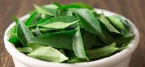 Fresh Curry Leaves