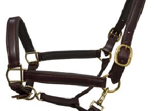 Horse Leather Halters