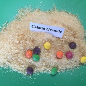 Gelatin