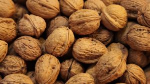 walnuts