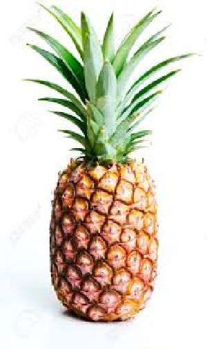 Fresh Pineapple