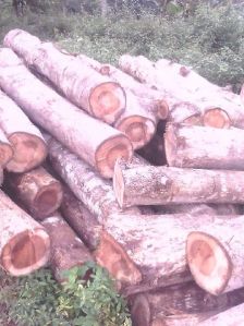 teak wood logs, Packaging Type : BROWN, DARK BROWN & DARK RED
