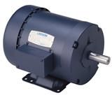 Leeson Electric Motors