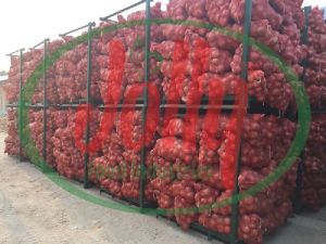 fresh red onion