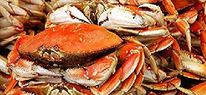 Live and frozen Dungeness Crab (Black and Yellow)