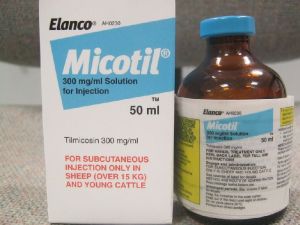 Micotil Injection