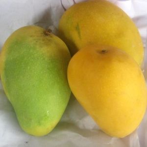 fresh mango,  Storage : Refrigeration Recommended