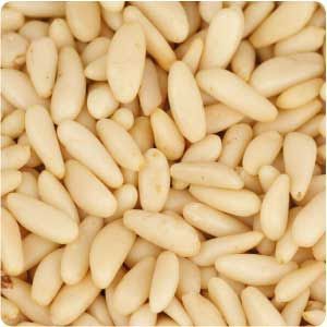 Pine Nut Kernels - Best Prices