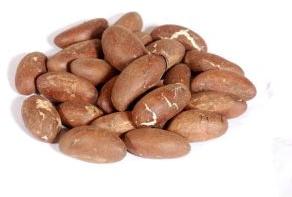 Bitter Kola Nuts,  Appearance : Fresh