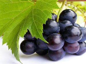Black Jumbo Grapes