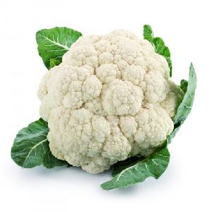 fresh cauliflower