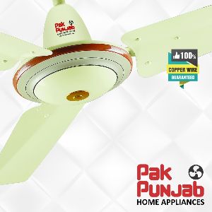 Expo Model Ceiling Fan Super Fantasy Model Ceiling Fan