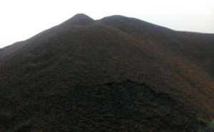 Palm Kernel Shell