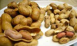 Dry Fruits & Nuts