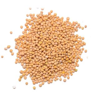 mustard seeds