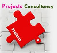Project Consultancy