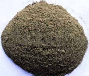 Noni Powder