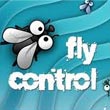 Fly Bugs Control Services