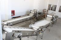 Fresh Fruit & Vegetable Cleaning, Sorting, Grading & Packing Line