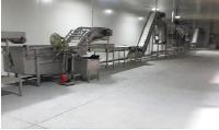 Green Pea Processing Machinery
