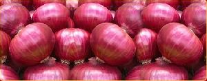 Pink Onions