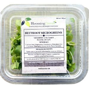 Beetroot Microgreens