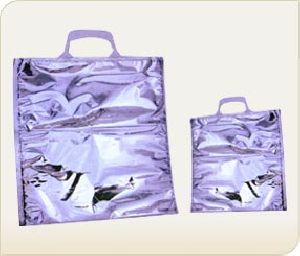 Thermal Bags with handles