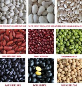 Dried Kidney Beans Best Quality