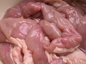 frozen pork intestine